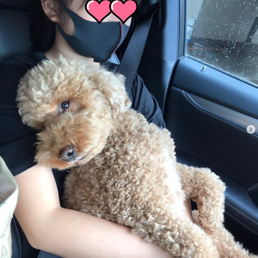 田中美佐子の娘と犬の写真